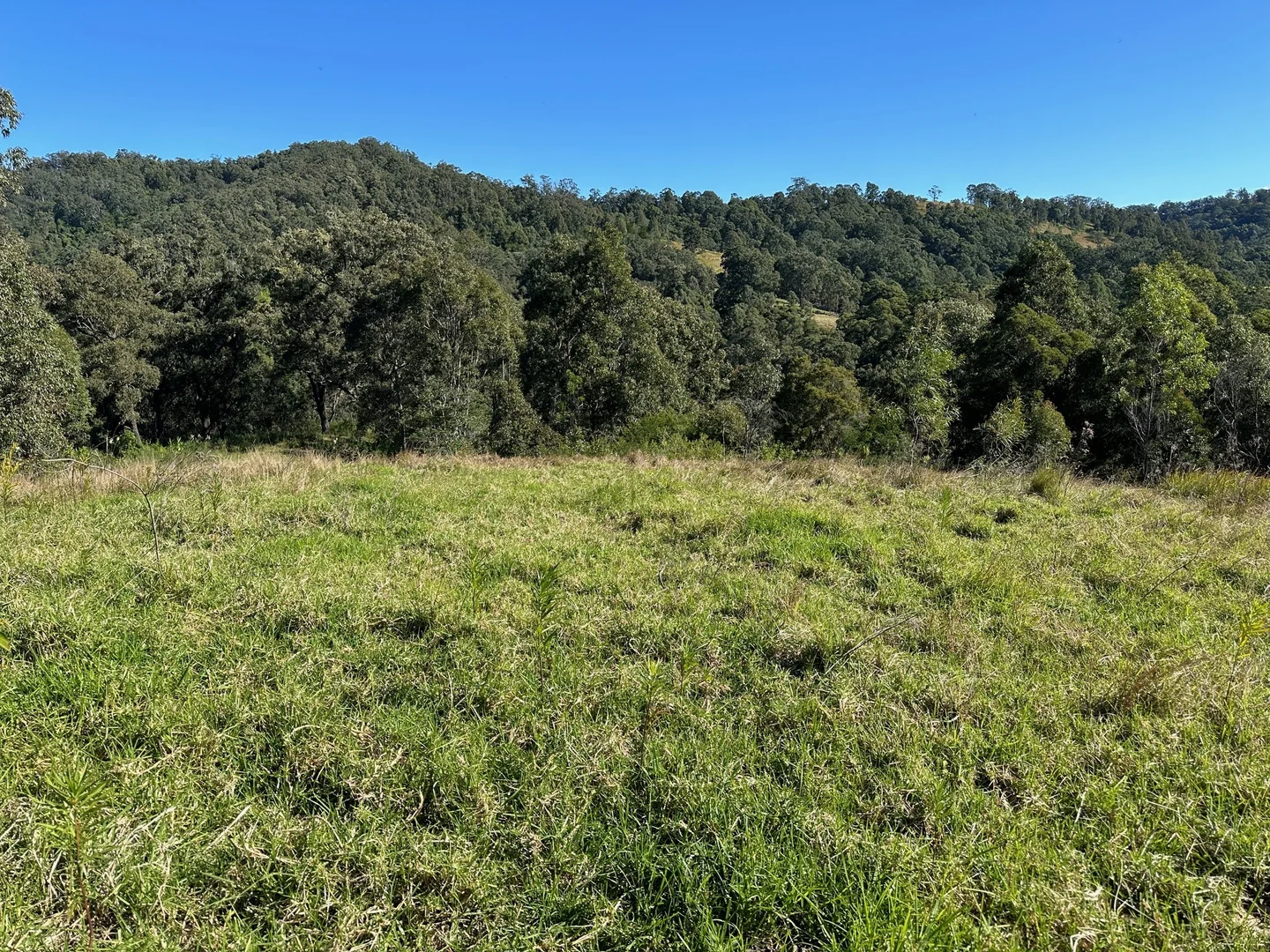 Additional image 8 of 129 Quartpot Creek Road, Dungog NSW 2420