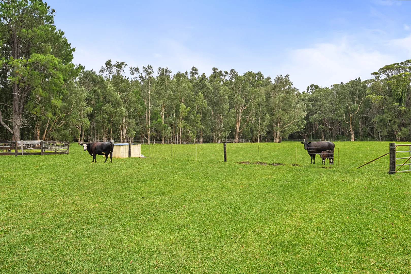 Additional image 12 of 68 Pollock Avenue, Wyong NSW 2259