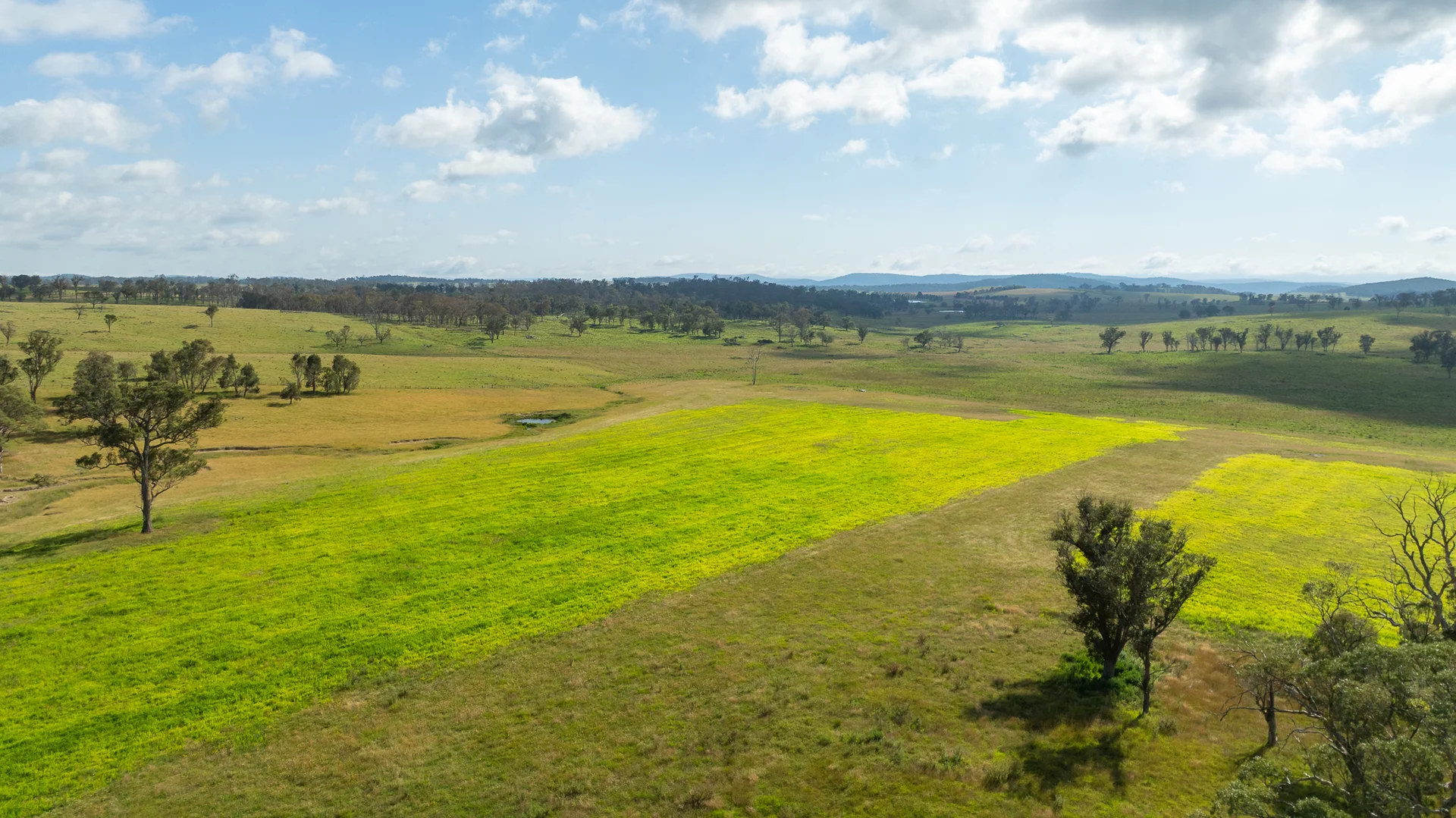 Additional image 12 of "Glen Bluff" 222 Riverview Road, Wards Mistake NSW 2350