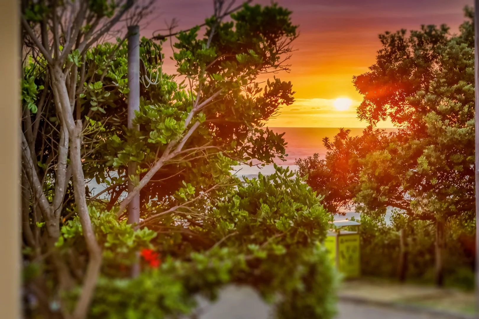 Additional image 26 of 232 Del Monte Place, Copacabana NSW 2251