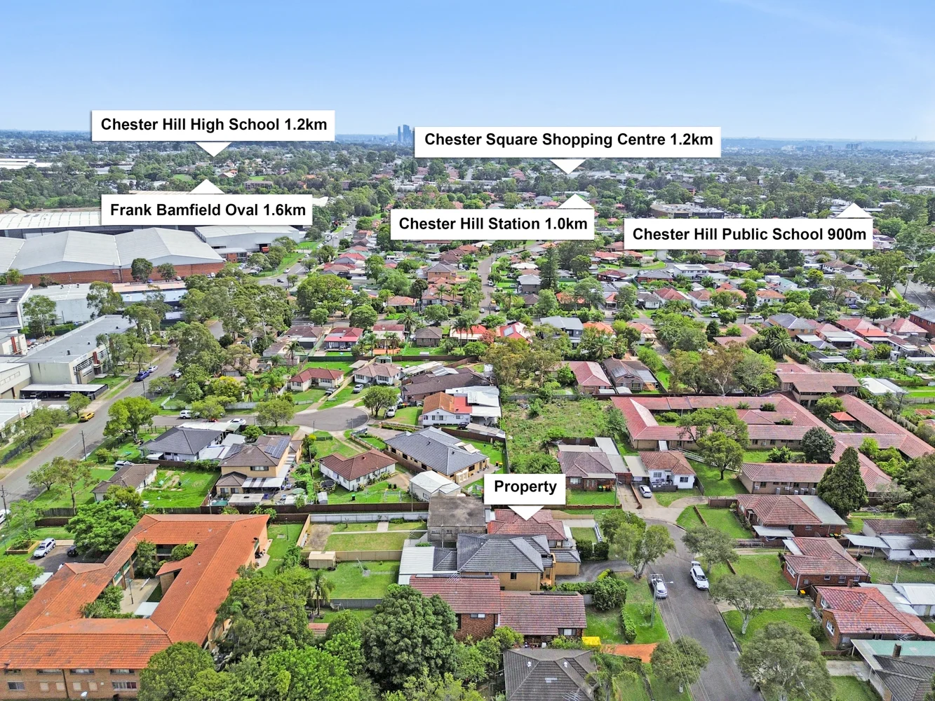 Additional image 15 of 4 Ridge Street, Chester Hill NSW 2162