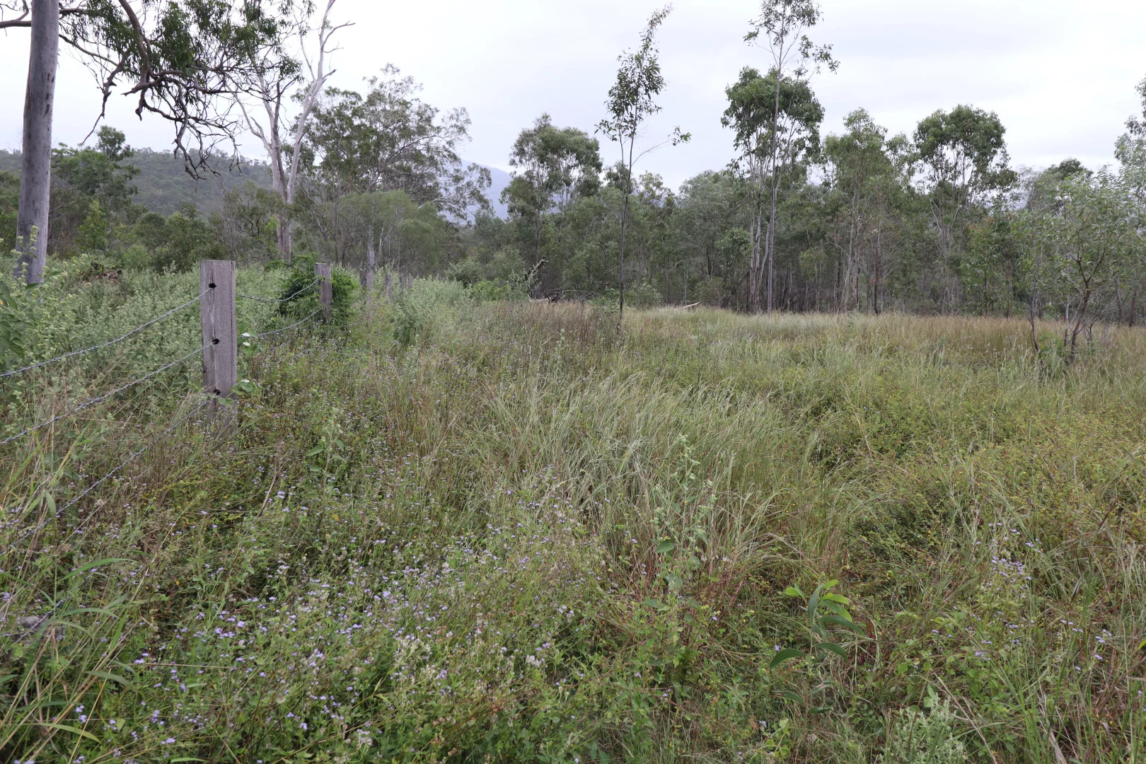 Additional image 6 of LOT 60 Swindon Road, Mount Perry QLD 4671