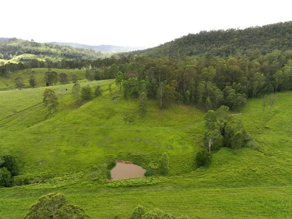 Additional image 30 of 1023 Iron Pot Creek Rd, Kyogle NSW 2474