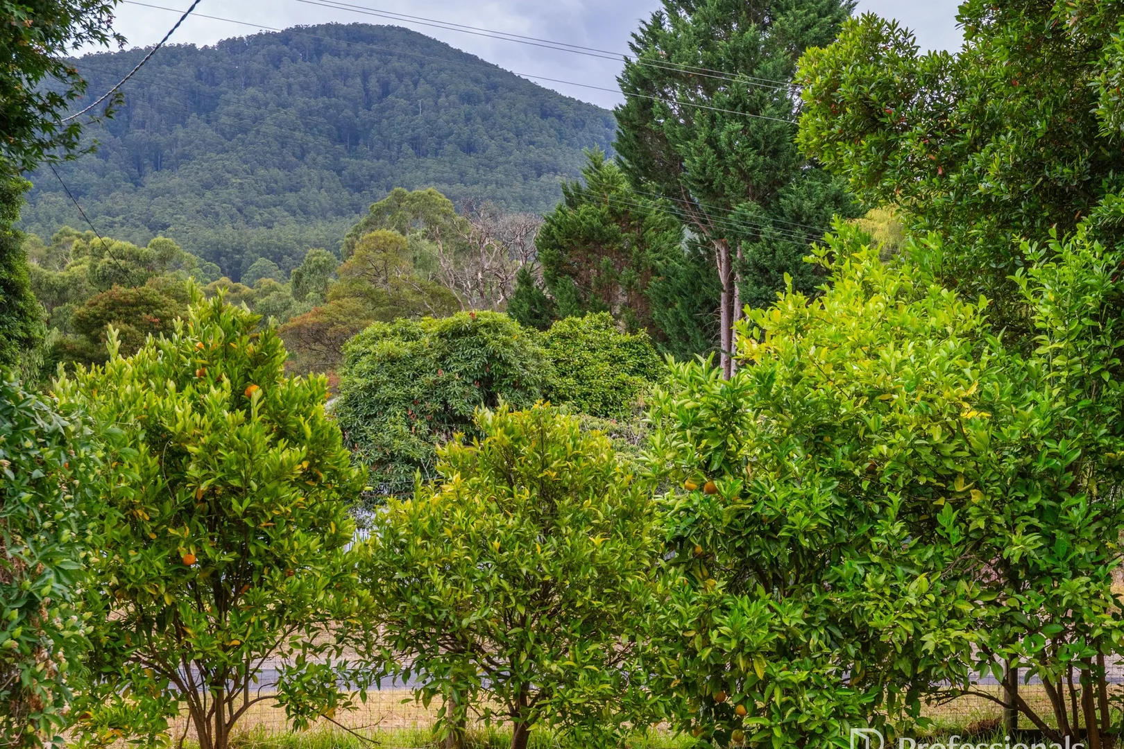 Additional image 25 of 492 Woods Point Road, East Warburton VIC 3799