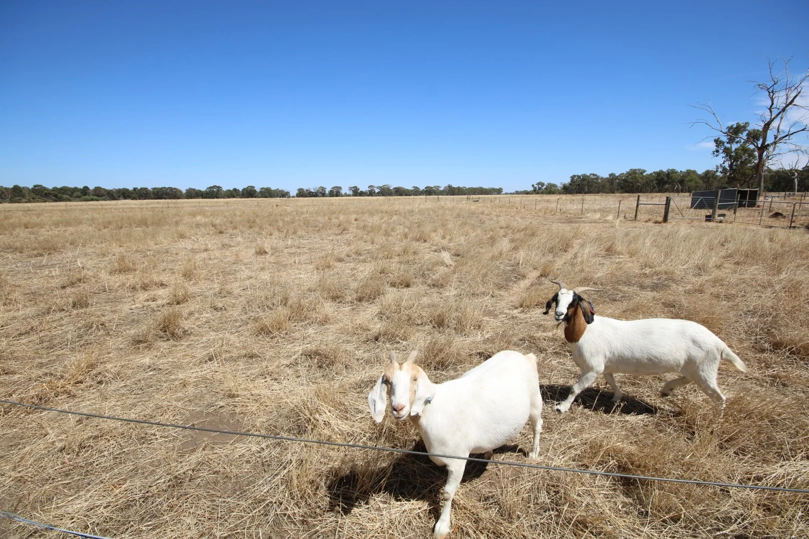 Additional image 7 of 801 Mason Road, Girgarre VIC 3624