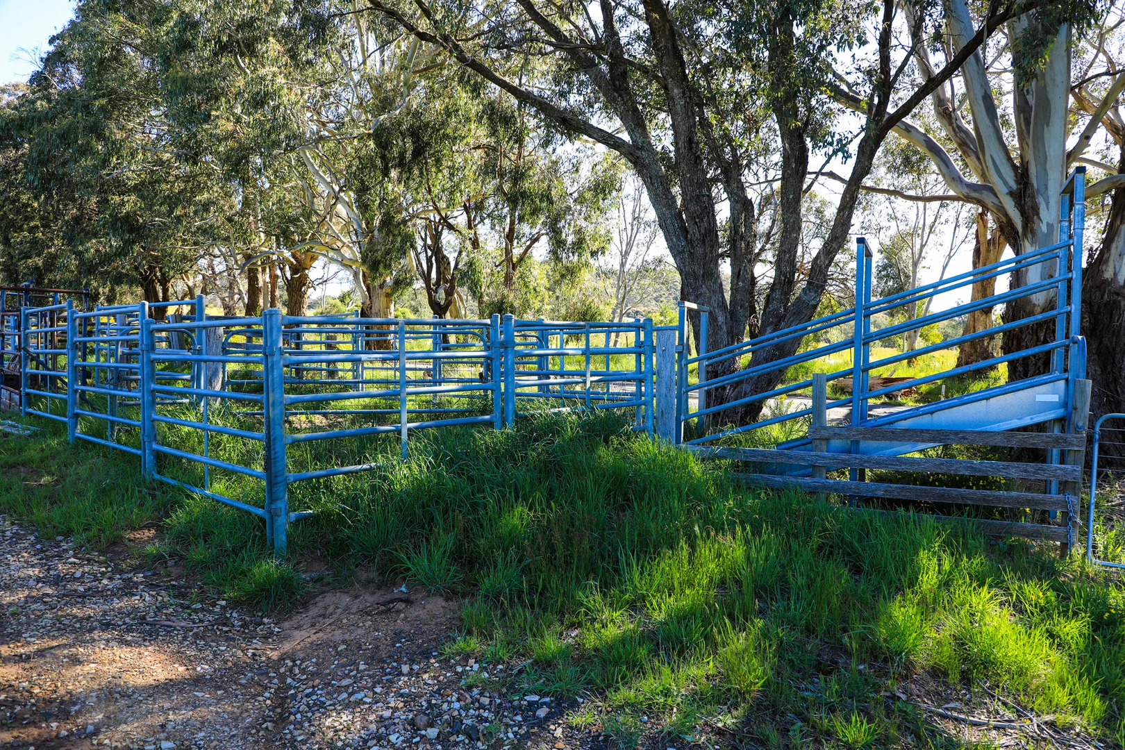 Additional image 19 of 154 Straws Lane, Hesket VIC 3442