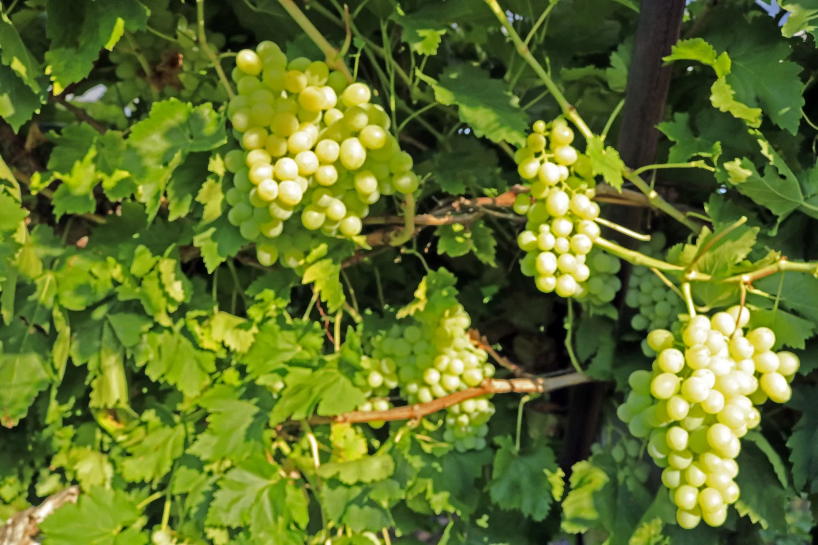 Additional image 12 of 700 Coonambula Road,, Riverleigh QLD 4626