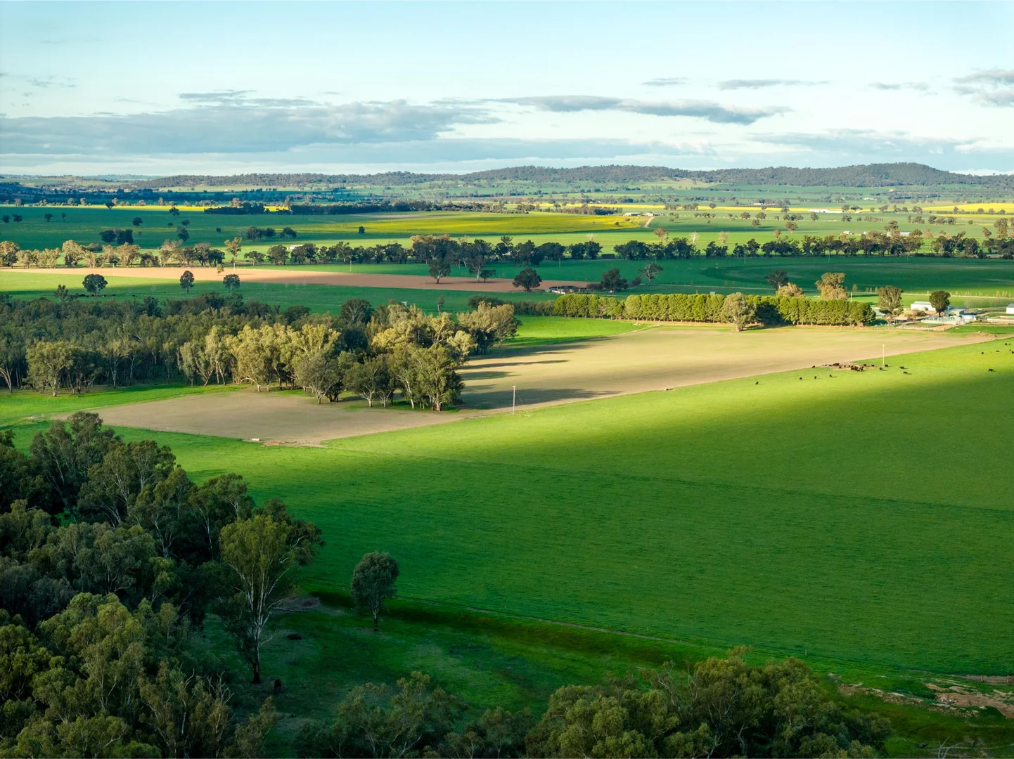 Additional image 16 of 1871 Old Narrandera Road, Euberta NSW 2650