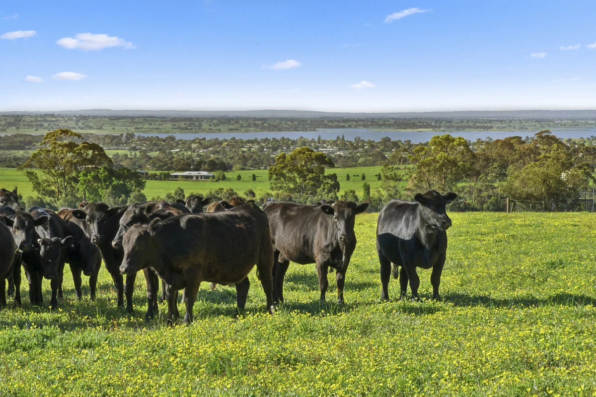 Additional image 7 of Christies Road, Elliminyt VIC 3250