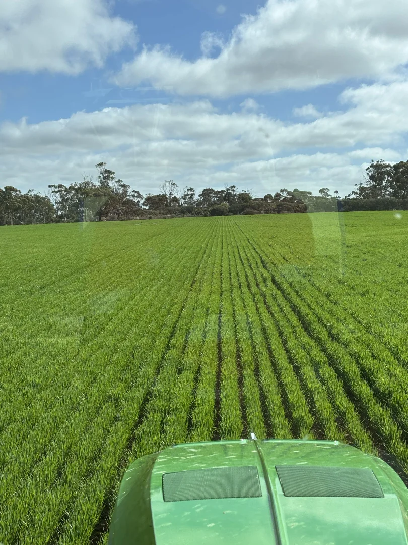 Additional image 9 of . 'Wells', Quairading WA 6383