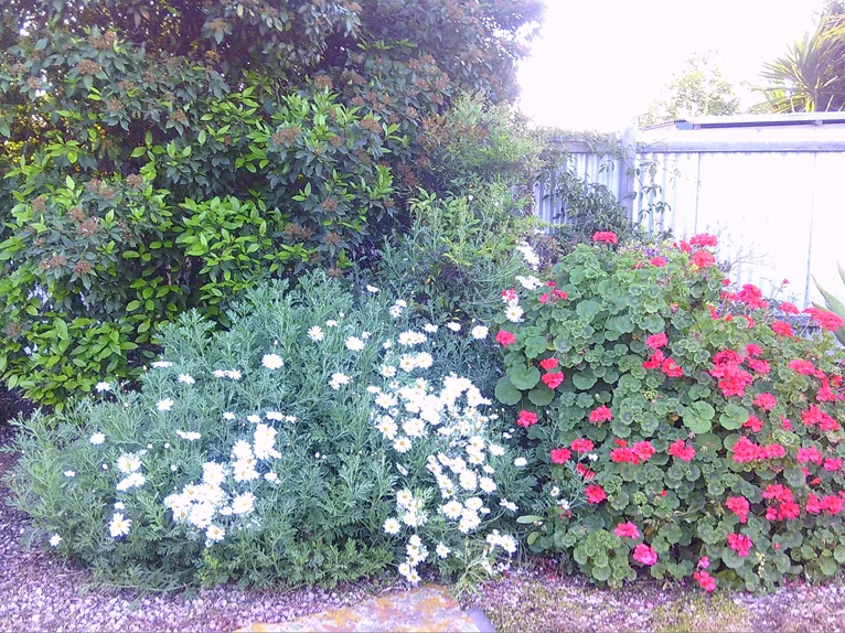 Additional image 29 of 11 Milne Terrace, Moonta SA 5558