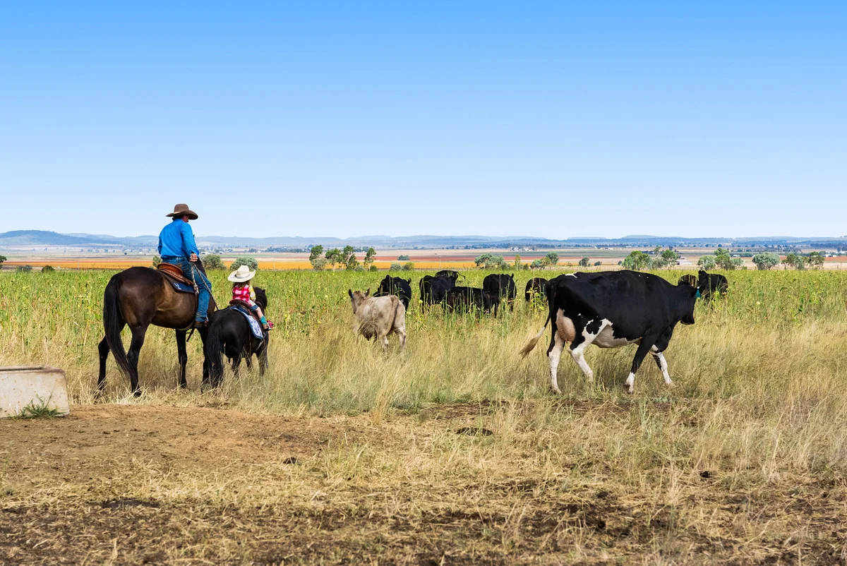 Additional image 22 of 141 Rickert Road, Kings Creek QLD 4361