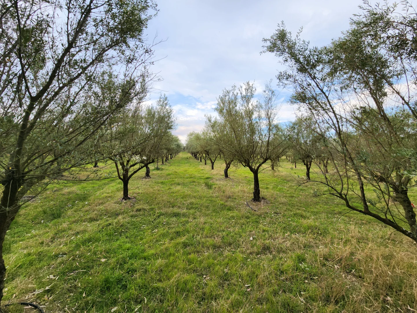 Additional image 51 of 100 Eltons Road, Silverdale NSW 2752