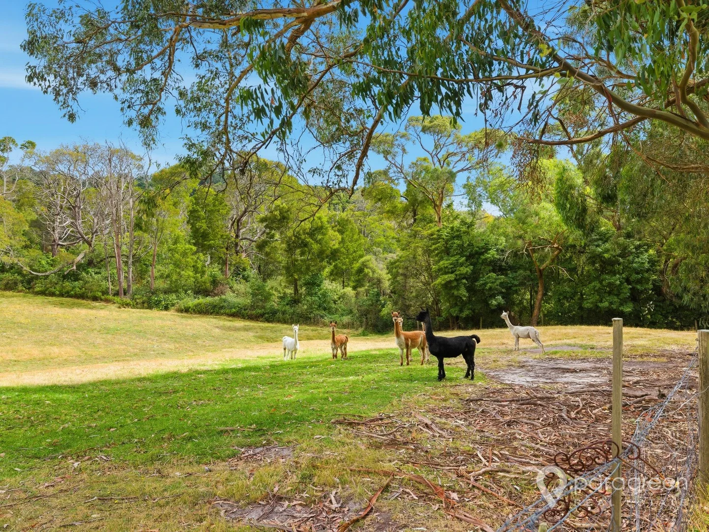 Additional image 24 of 5 Fleming Road, Foster VIC 3960