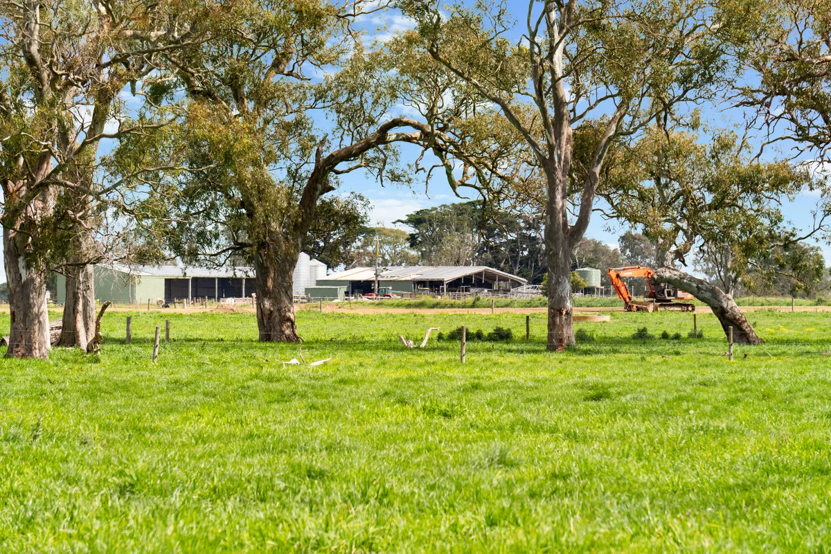 Additional image 4 of 95 Vardys Road, Riverslea VIC 3860