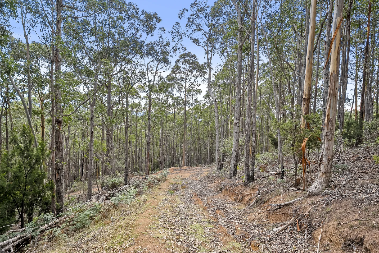 Additional image 5 of 35 Valley View Road, Margate TAS 7054