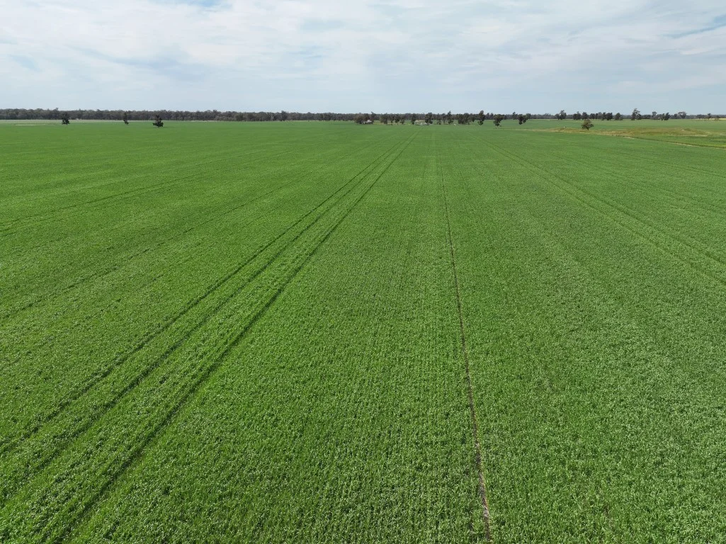 Additional image 10 of 849 Brushwood North Rd, Coolamon NSW 2701