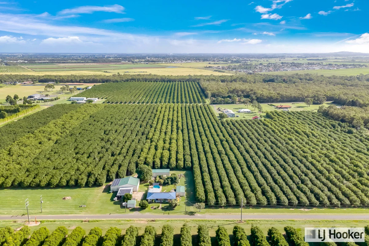 Additional image 43 of 214 Thomasens Road, Alloway QLD 4670