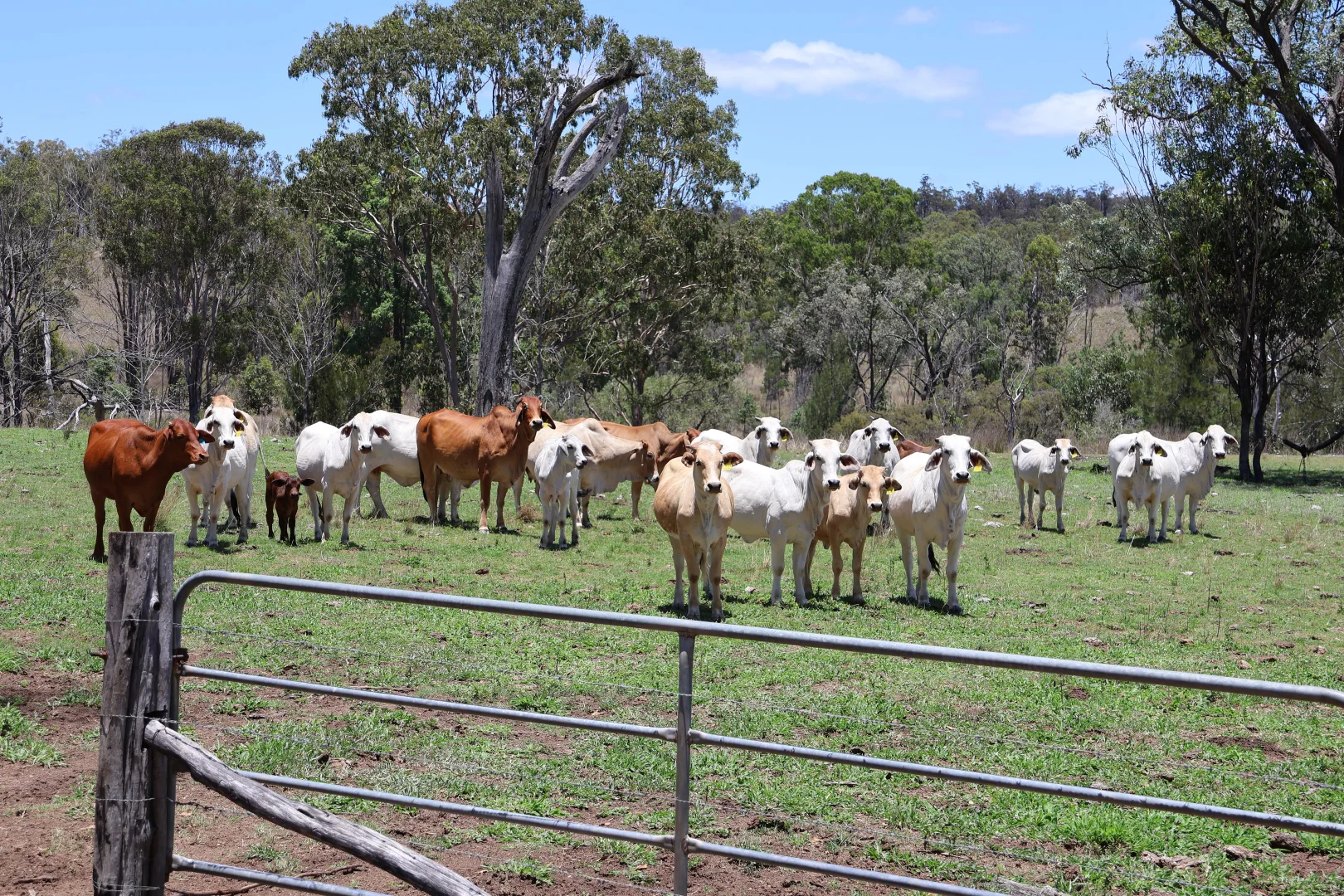 Additional image 15 of Lot 33, 34 & 35 Bilboolan Road, Mungy, Mount Perry QLD 4671