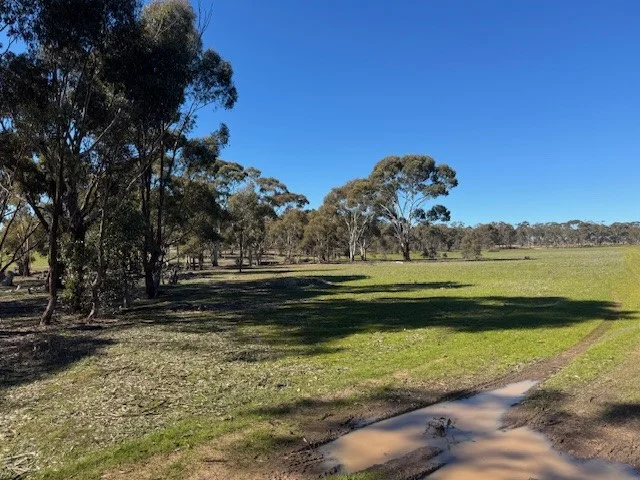 Additional image 15 of 4CA Calder Highway, Wedderburn VIC 3518