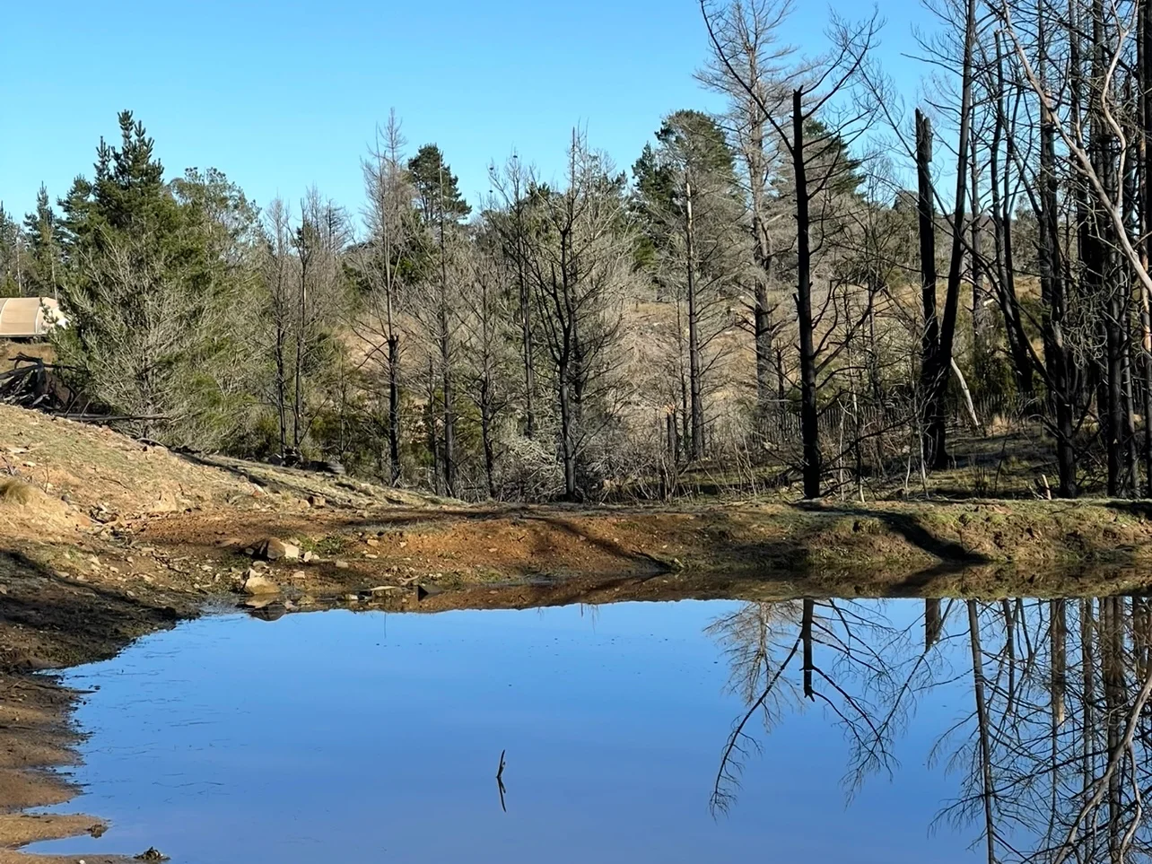 Additional image 24 of Tomboye NSW 2622