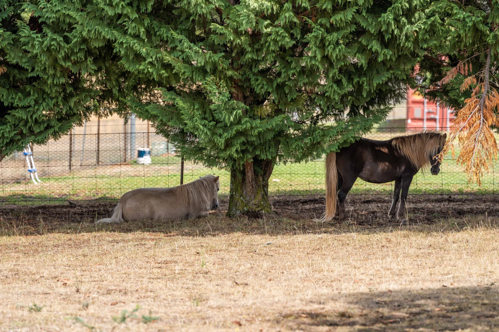 Additional image 30 of 90 Weemilah Place, Orange NSW 2800