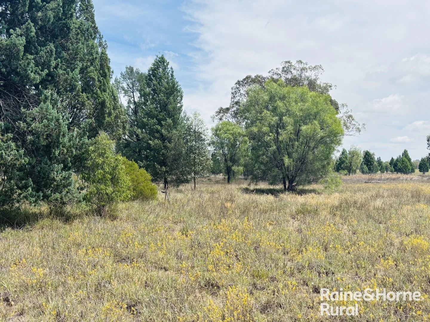 26 Bristol Street, Mitchell QLD 4465