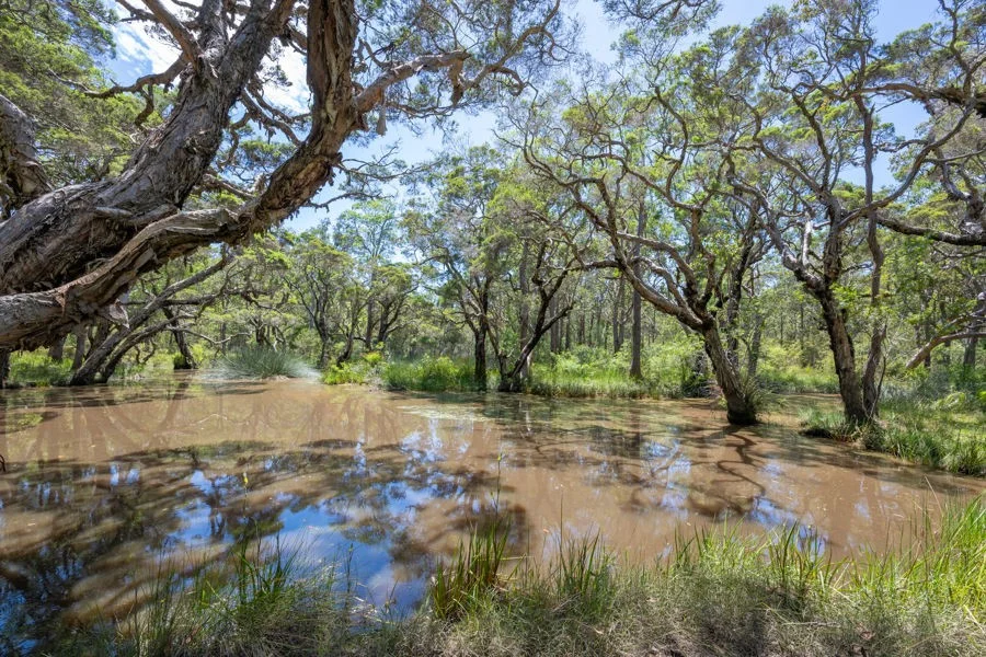 Additional image 22 of 454 Parker Road, Wells Crossing NSW 2460