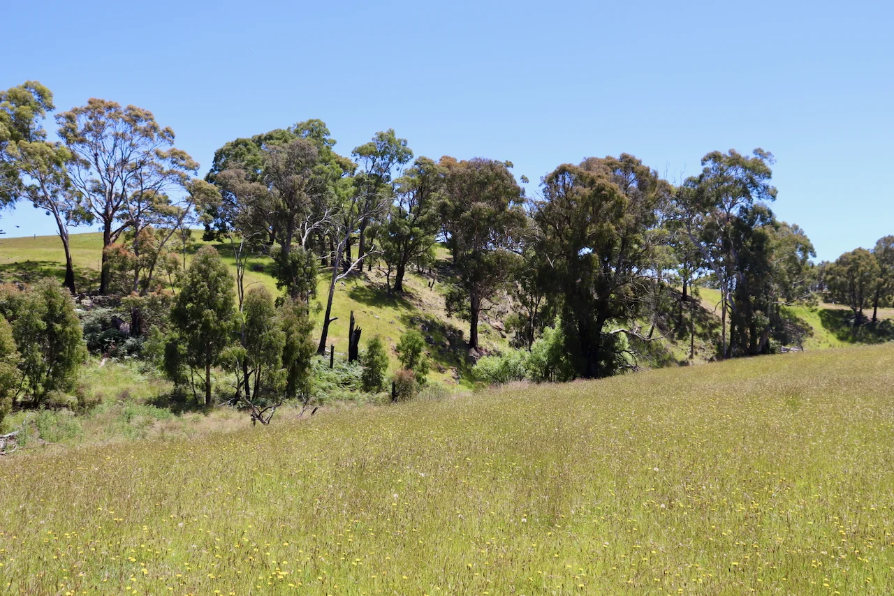 Additional image 5 of 13, 13A, 13B, 31A &, BRIDGE ROAD, Grenville VIC 3352