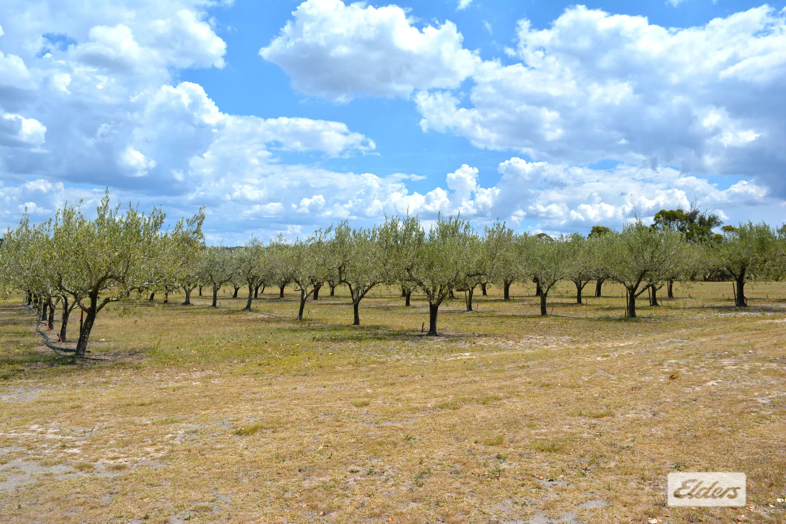 Additional image 38 of 186 McKechnie Road, Ruby Creek NSW 4380