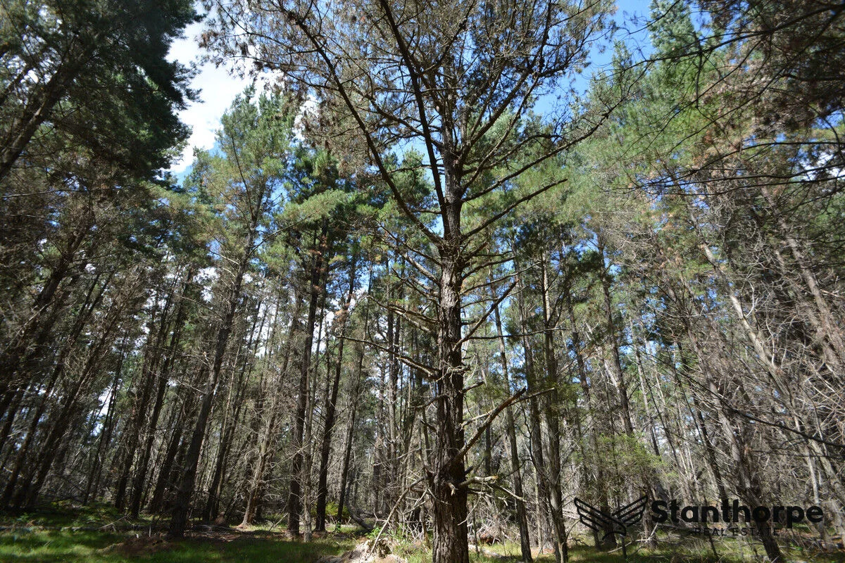 Additional image 9 of 240 Panoramic Drive, Sugarloaf QLD 4380