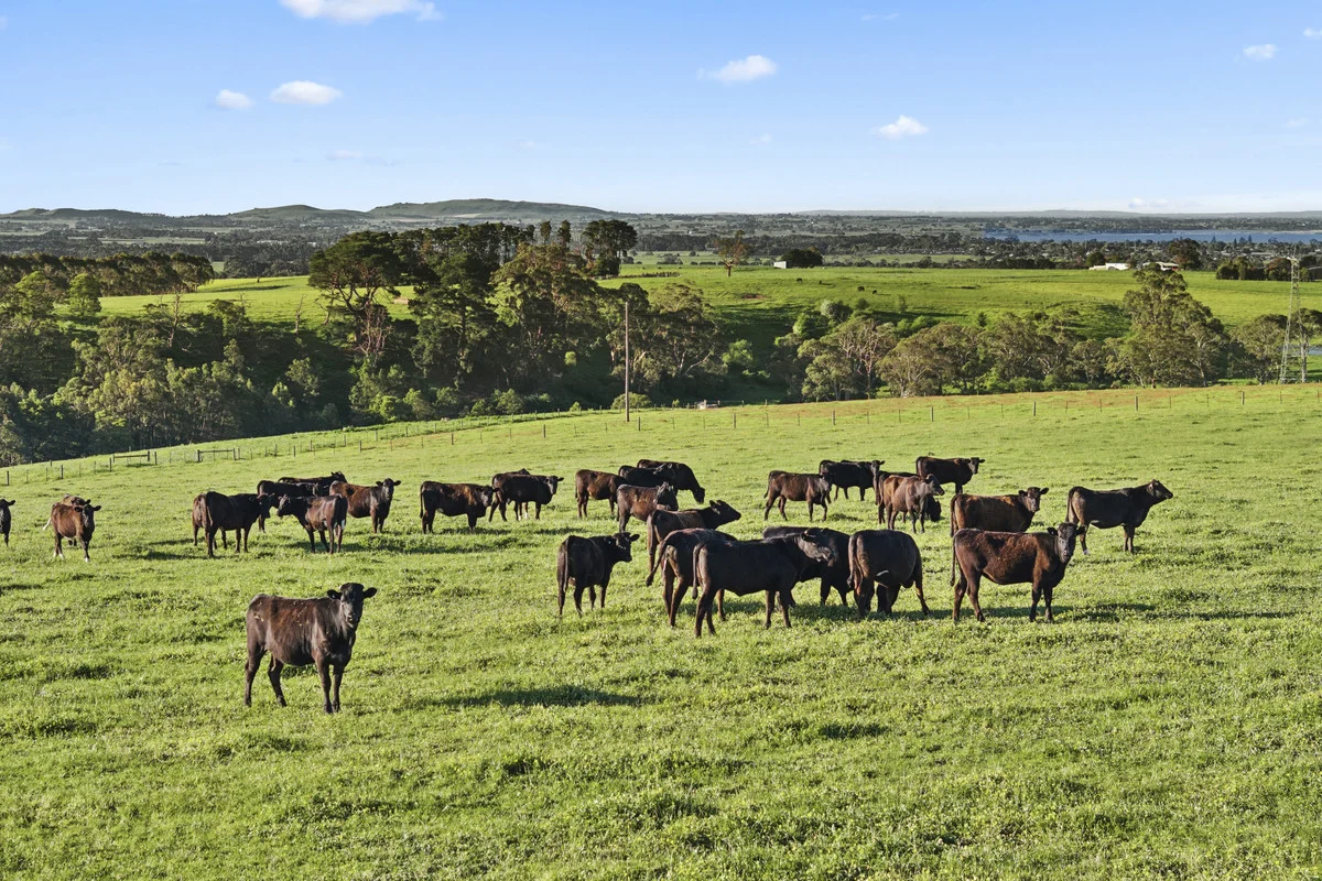 Additional image 19 of Christies Road, Elliminyt VIC 3250