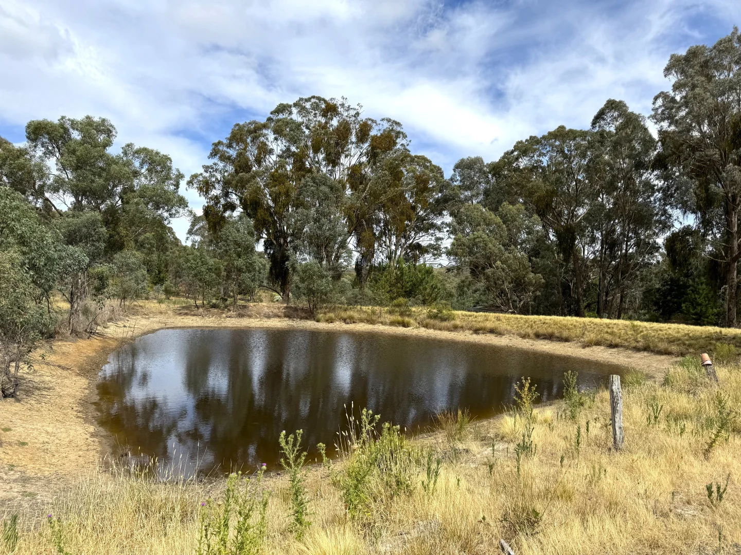 Additional image 2 of 848 Kentucky Road, Neville NSW 2799