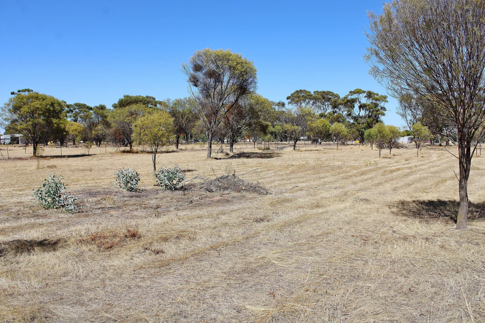 Additional image 25 of 60 Johnston Street, Wagin WA 6315