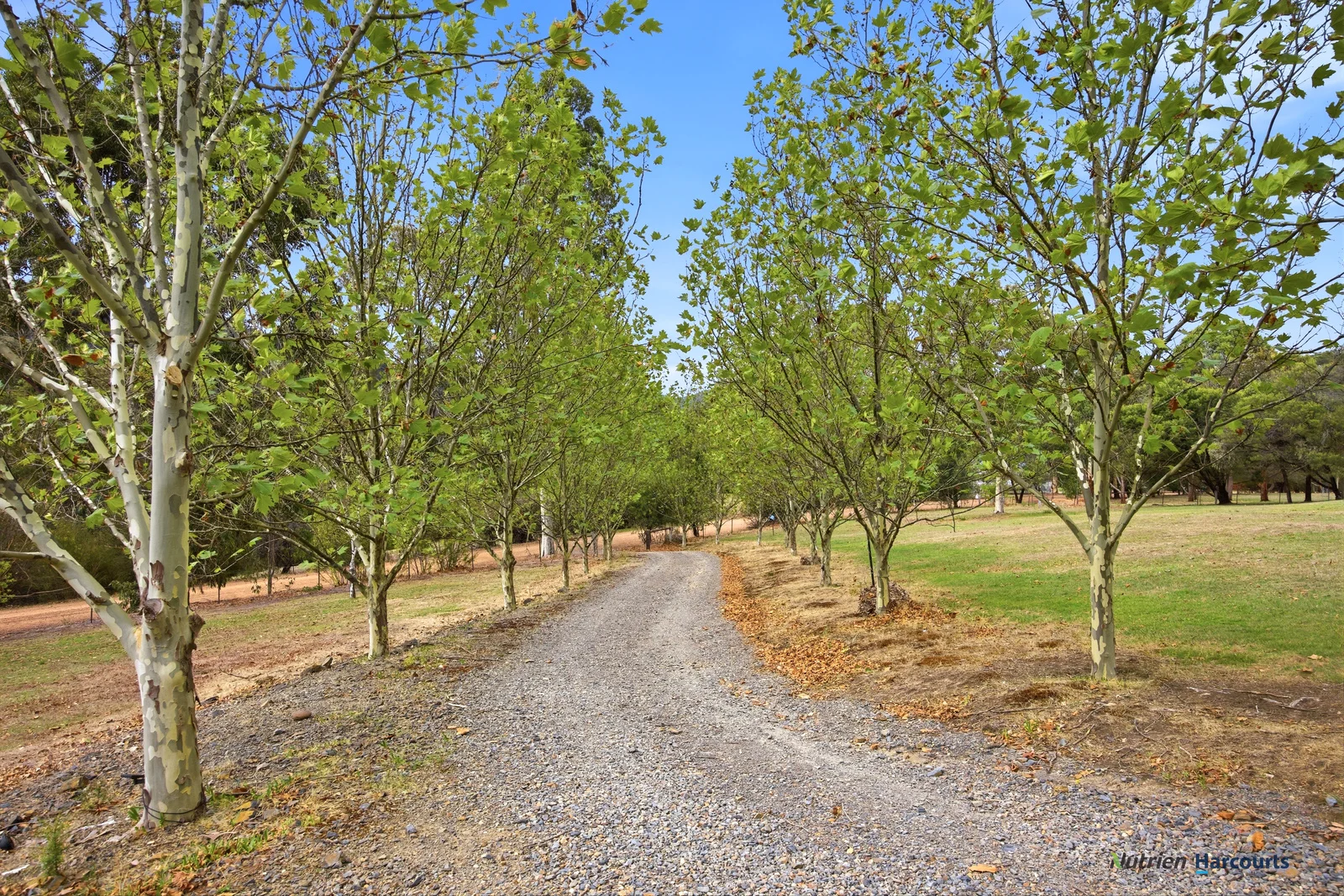 Additional image 6 of 72 Alford Avenue, Eildon VIC 3713