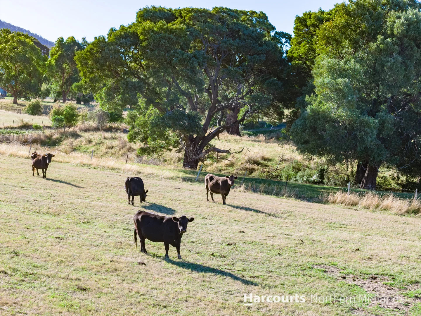 Additional image 34 of 205 Top Road, Blackwood Creek TAS 7301