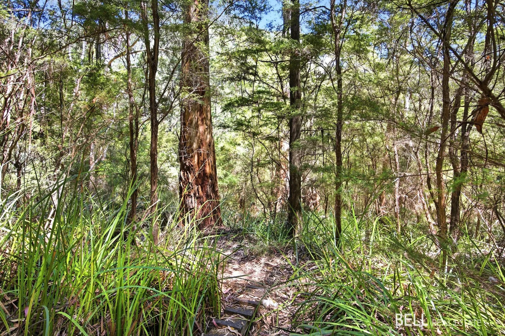 Additional image 6 of 23 Glenbrook Road, Warburton VIC 3799