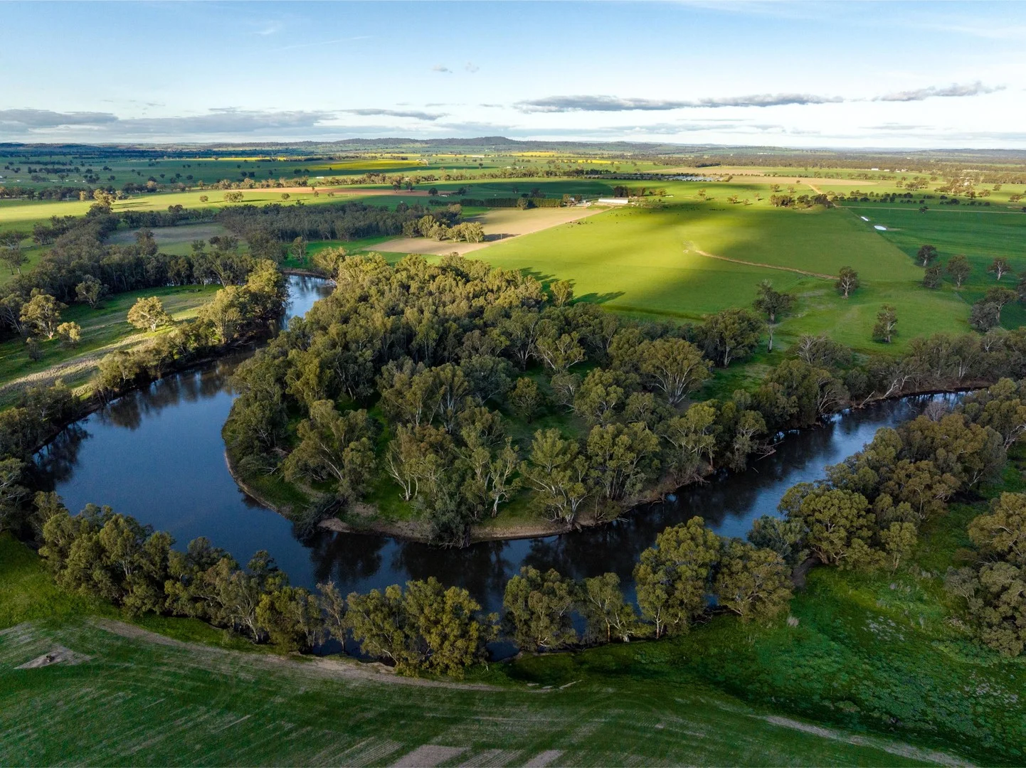 1871 Old Narrandera Road, Euberta NSW 2650