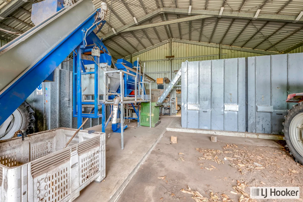 Additional image 12 of 214 Thomasens Road, Alloway QLD 4670