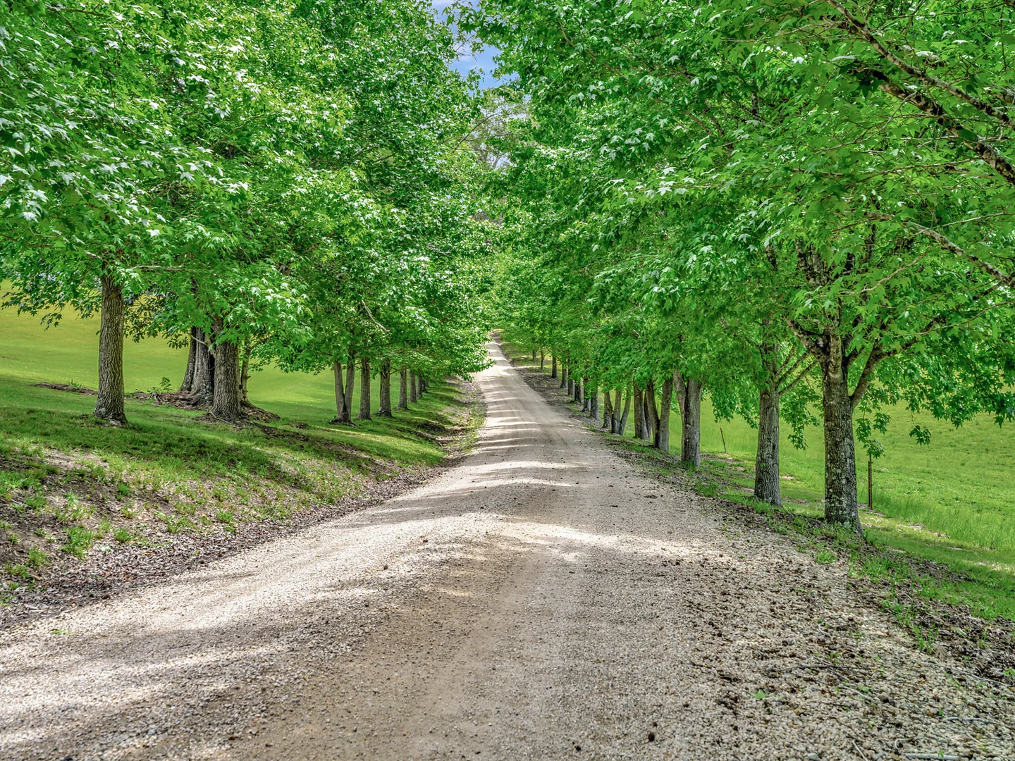 Additional image 6 of Tamban NSW 2441