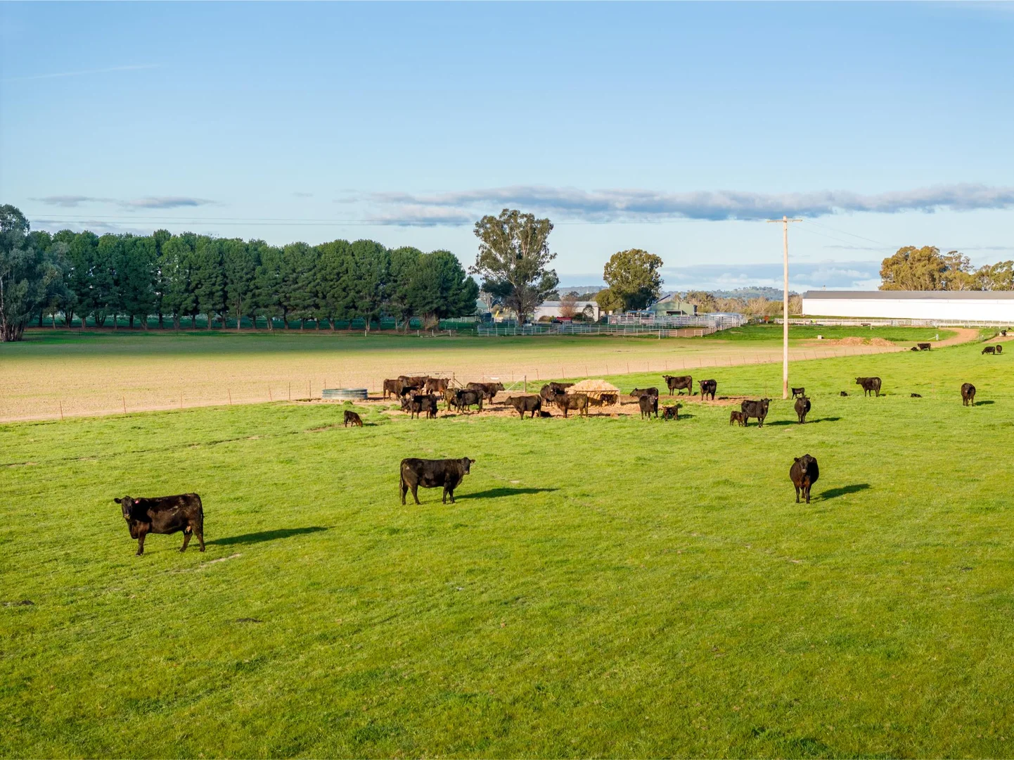 Additional image 27 of 1871 Old Narrandera Road, Euberta NSW 2650