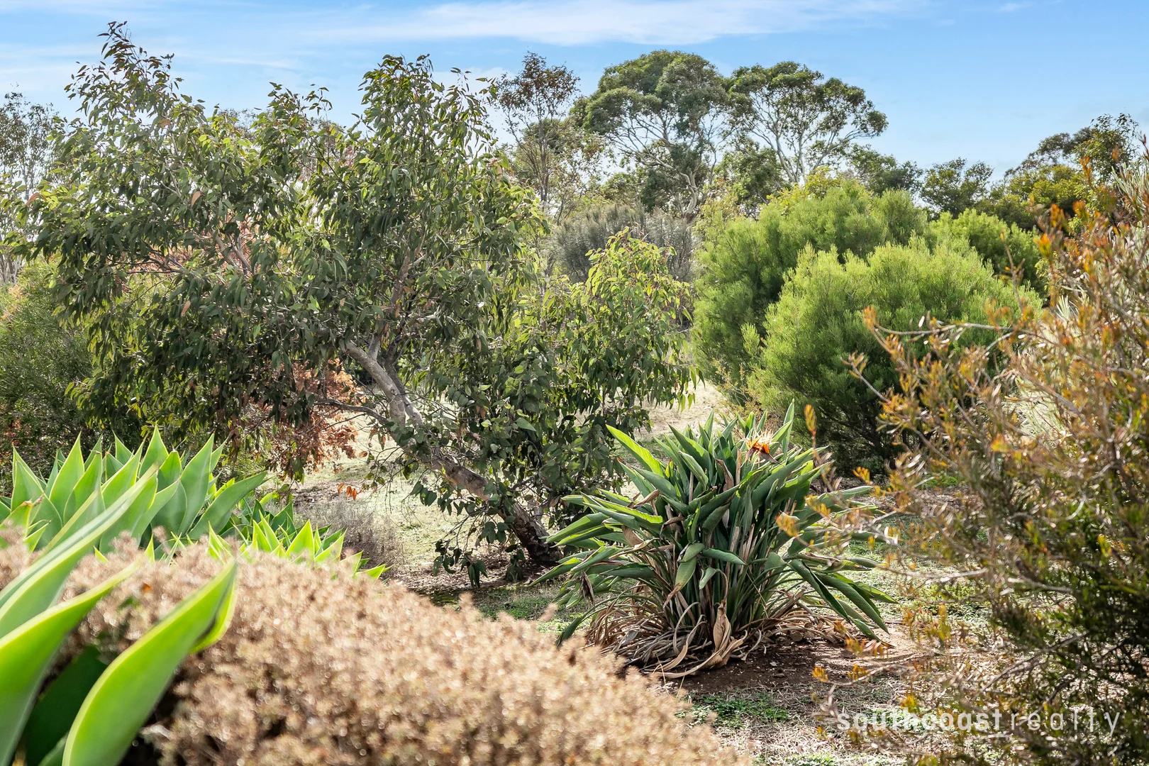 Additional image 29 of 6 Gulf View Court, Cape Jervis SA 5204