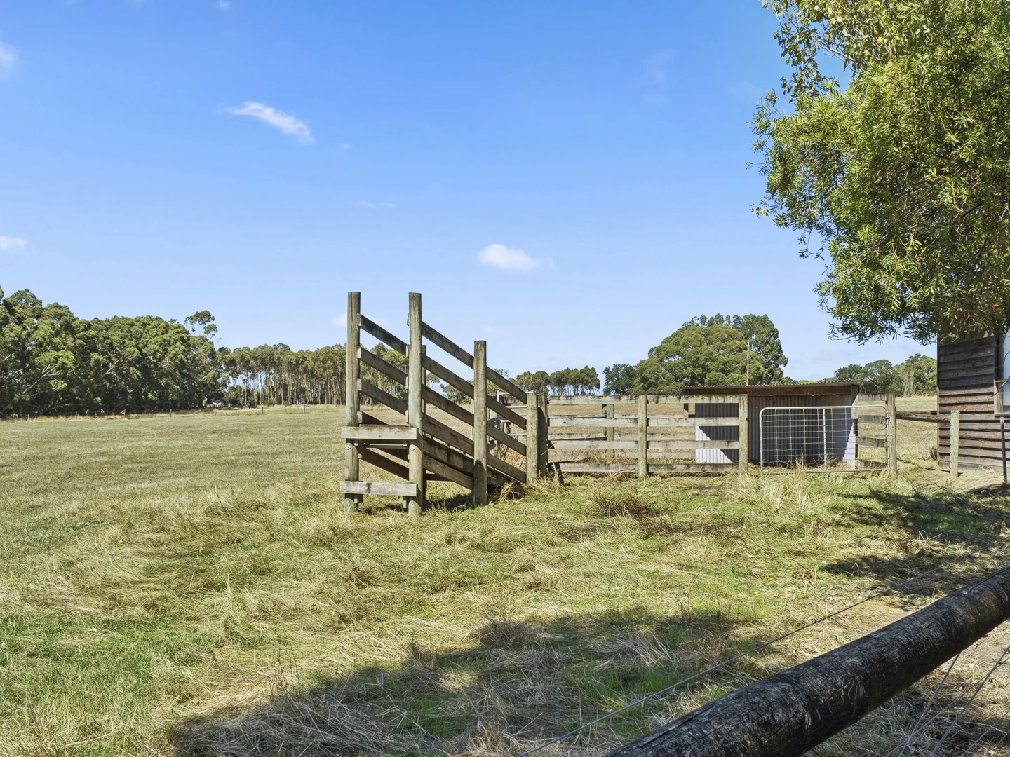 Additional image 21 of 1310 Colac - Forrest Road, Yeodene VIC 3249