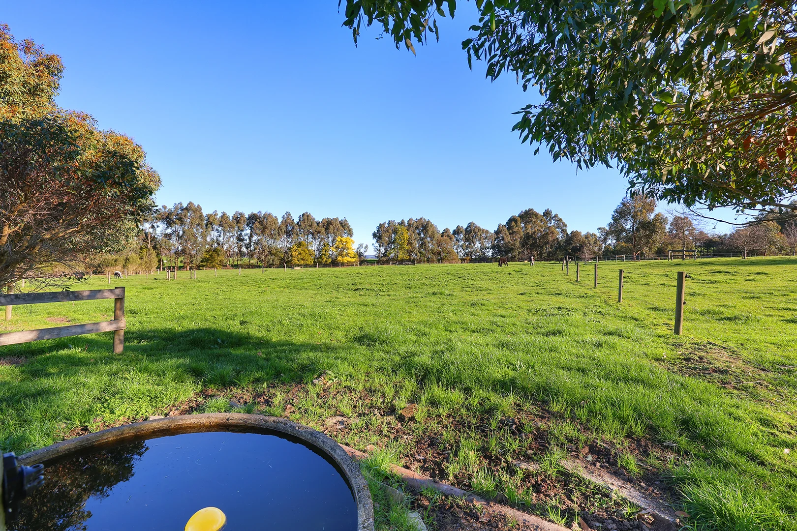 Additional image 24 of 70 Invermay Road West, Ripplebrook VIC 3818