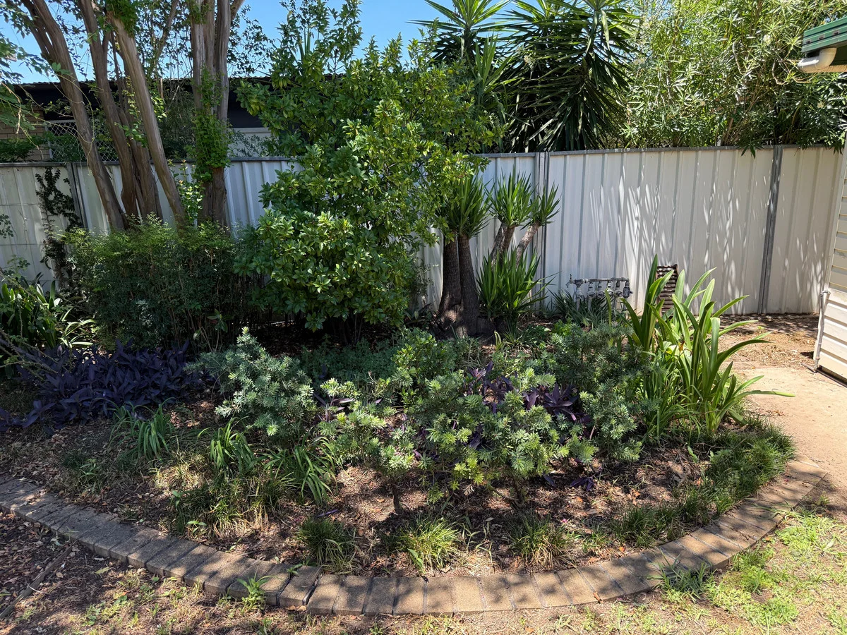 Additional image 22 of 52 Boston Street, Moree NSW 2400