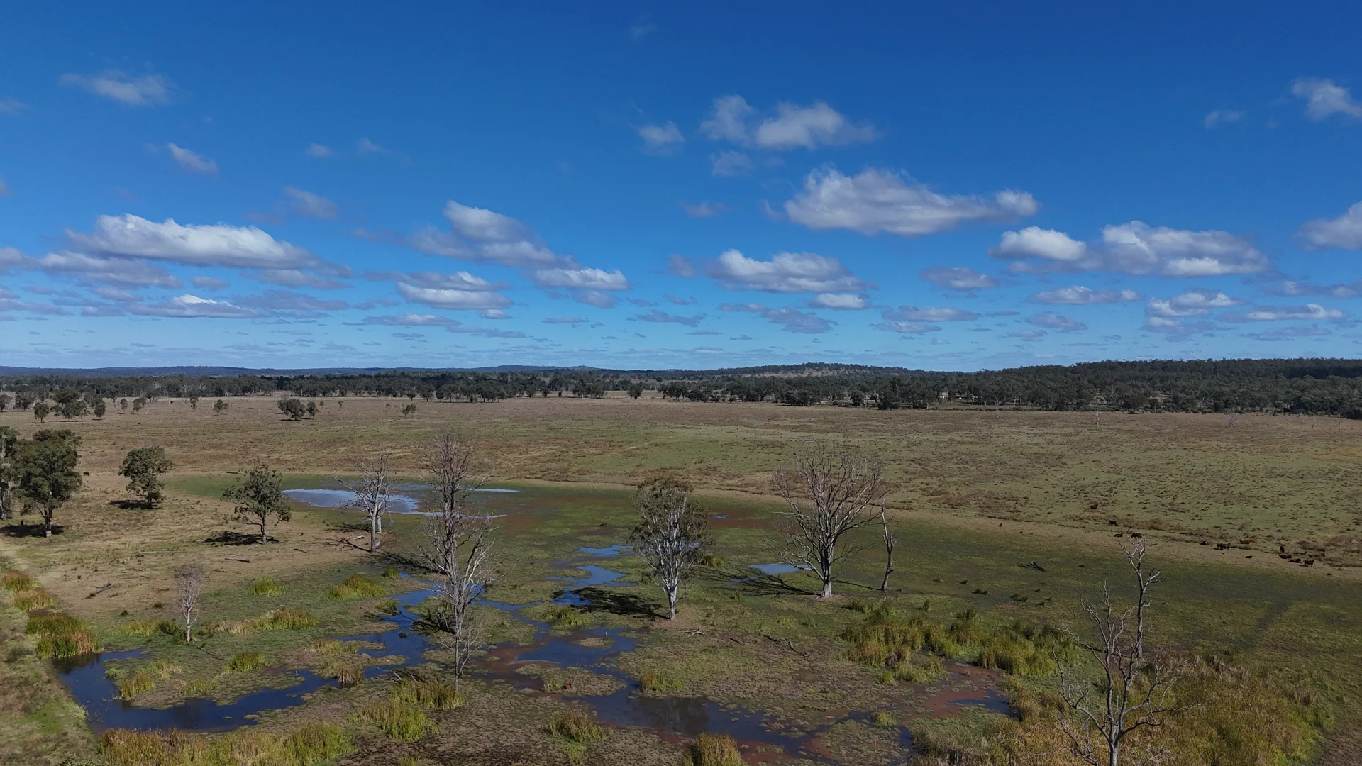 Additional image 17 of 8 Screening Plant Road, Cynthia, Eidsvold QLD 4627