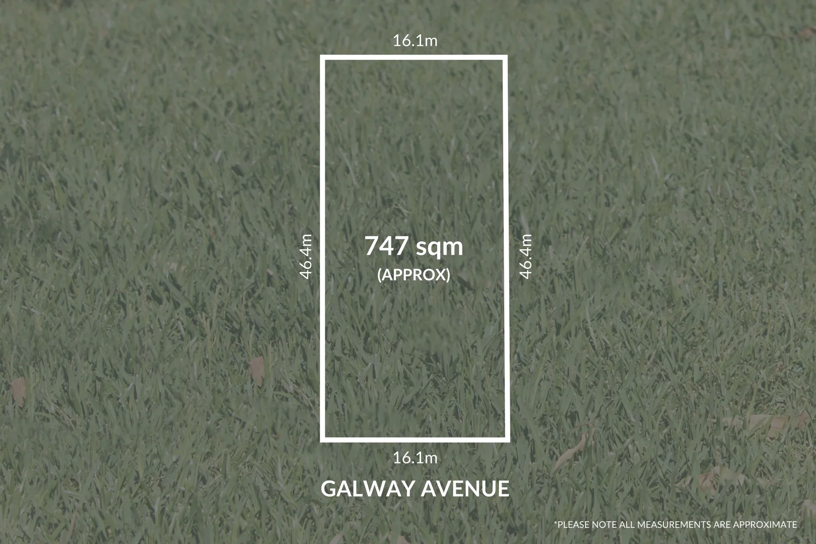 Additional image 4 of 24 Galway Avenue, Collinswood SA 5081