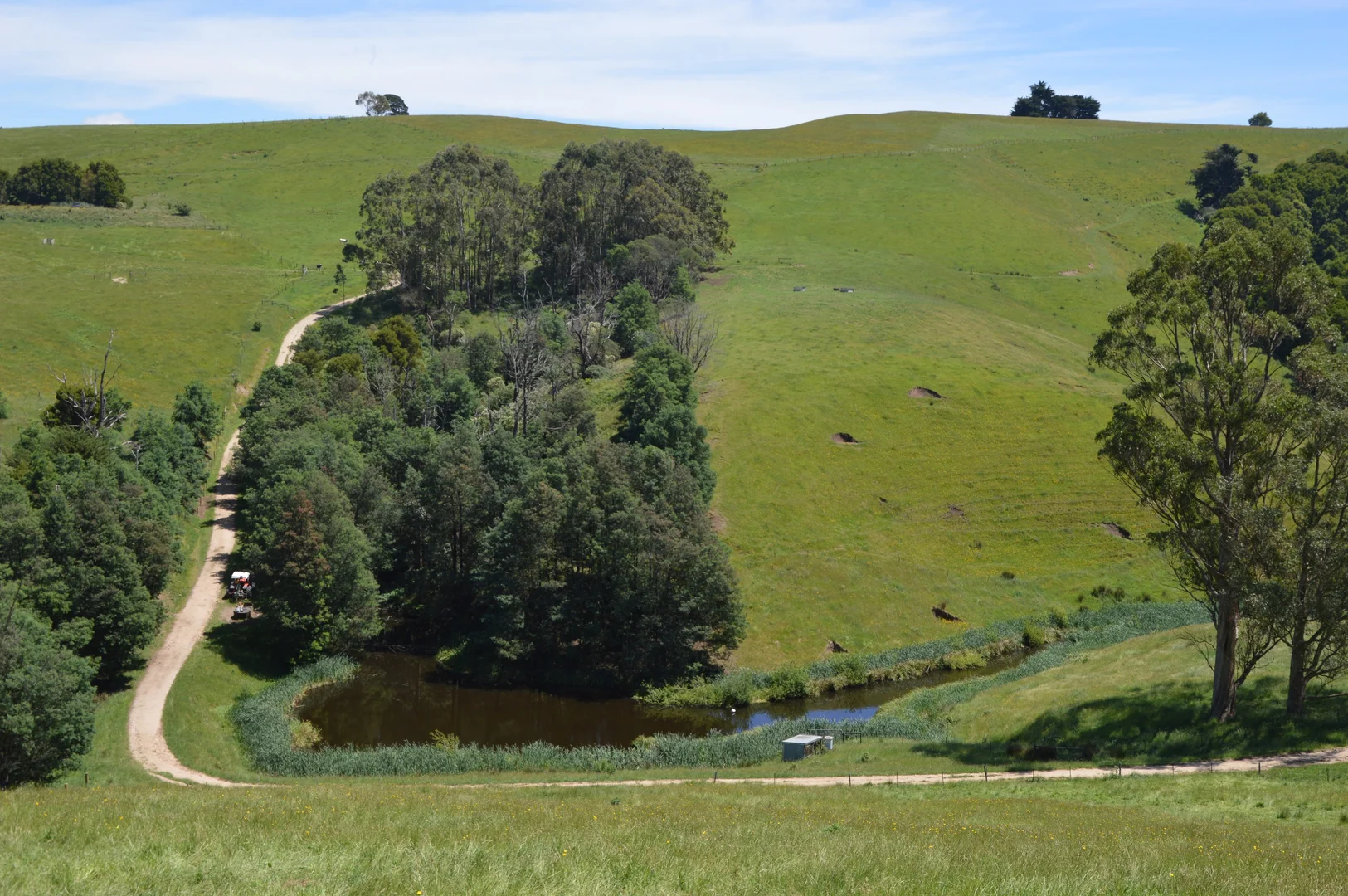 Additional image 3 of 10 Rowes Road, Mount Eccles VIC 3953