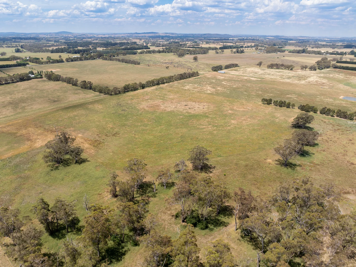 Additional image 29 of 56 Orchard Road, Springside NSW 2800