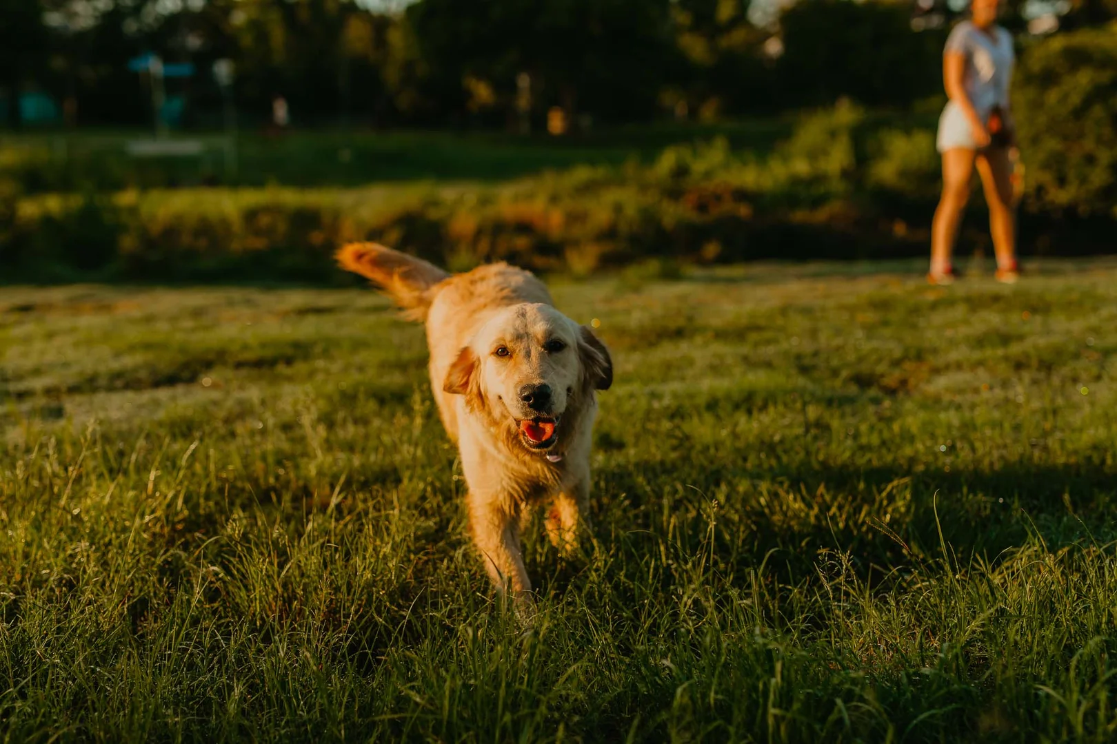 Additional image 14 of 32/1 Chambers Lane, Alderley QLD 4051